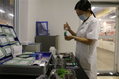 精誠致遠，保障安全 博羅農殘檢測報告的技術服務解讀